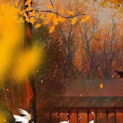 三国杀ol互通版下载手机版