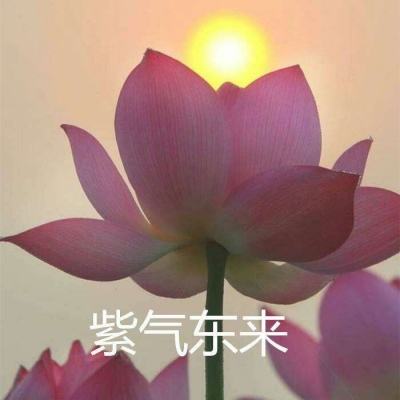 蜀道缥缈录最新版下载